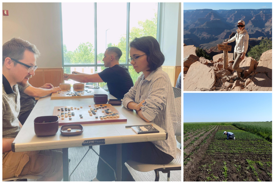 Featured image of post About